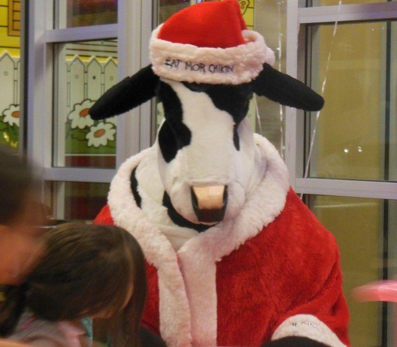 Santa Cow